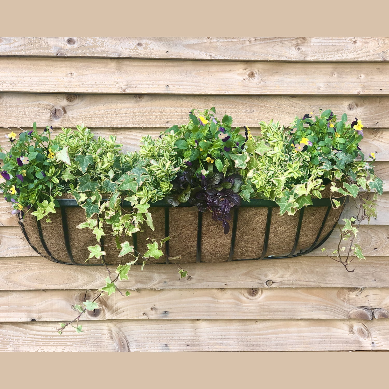 Cambridge Premium Wall Trough 36" x 8" x 7" Black Coco Liner Planter Boxes with Flattened Slat Styling