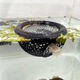thumbnail image 1 of Cueva flotante para peces betta HOZOE negra 10 x 10 x 5 cm, 1 of 6