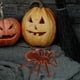 thumbnail image 5 of araña de juguete realista, broma, juguete eléctrico para niños, sin pilas, 5 of 7