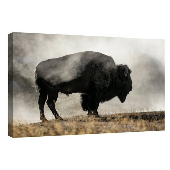 Geyer Basin by Danita Delimont Canvas Art Print