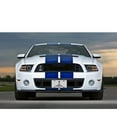 thumbnail image 4 of Ford Mustang Cobra White Carbon Fiber Texture Graphic UV Metal License Plate, 4 of 5