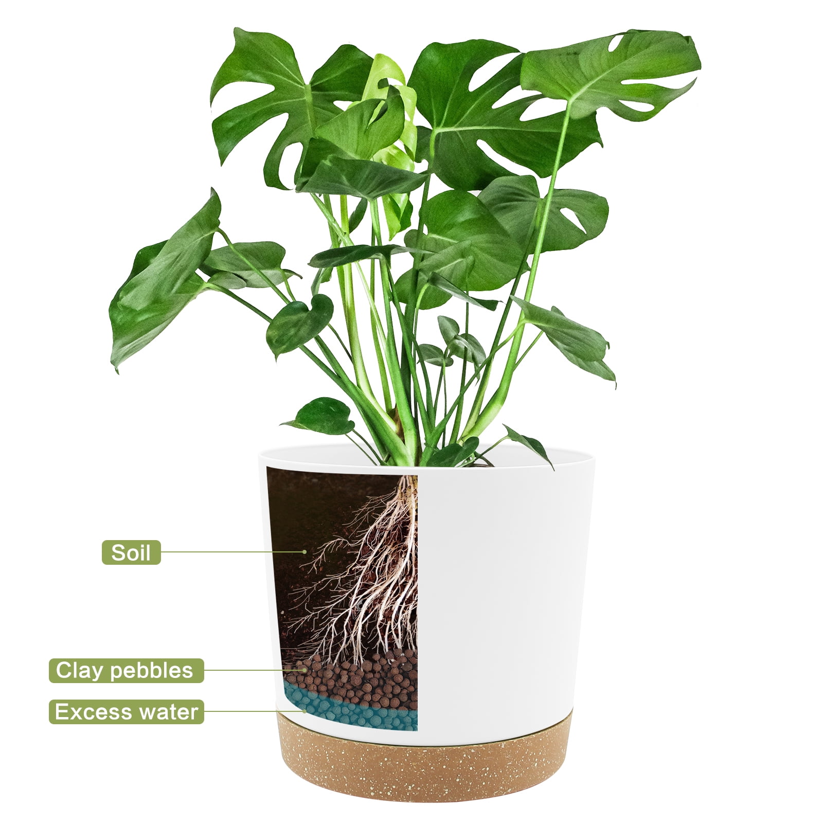 QCQHDU 2 Pack Plant Pot, 10 in White Plastic Indoor Planter with Drainage Holes and Removable Base