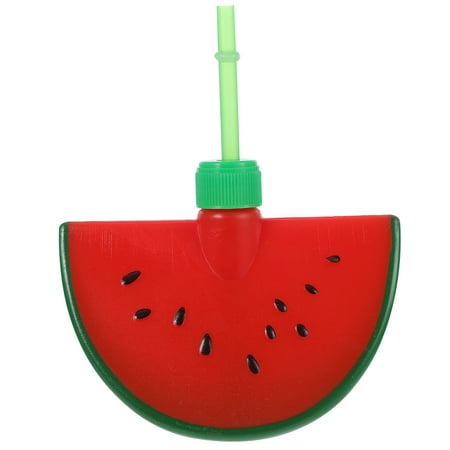 

Watermelon Shaped Cup with Straw Funny Drinking Cup Summer Party Juice Cup
