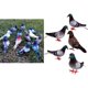 thumbnail image 1 of 6 pájaros de espuma de simución Artificial, adornos , manualidades DIY para decoración de boda accesorio fi Macarena Aves de manualidades con plumas, 1 of 6