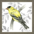 thumbnail image 3 of Great Art Now Backyard Birds B by Kelsey Wilson, 2 Piece Framed Art Set Each 13"W x 13"H, 3 of 3
