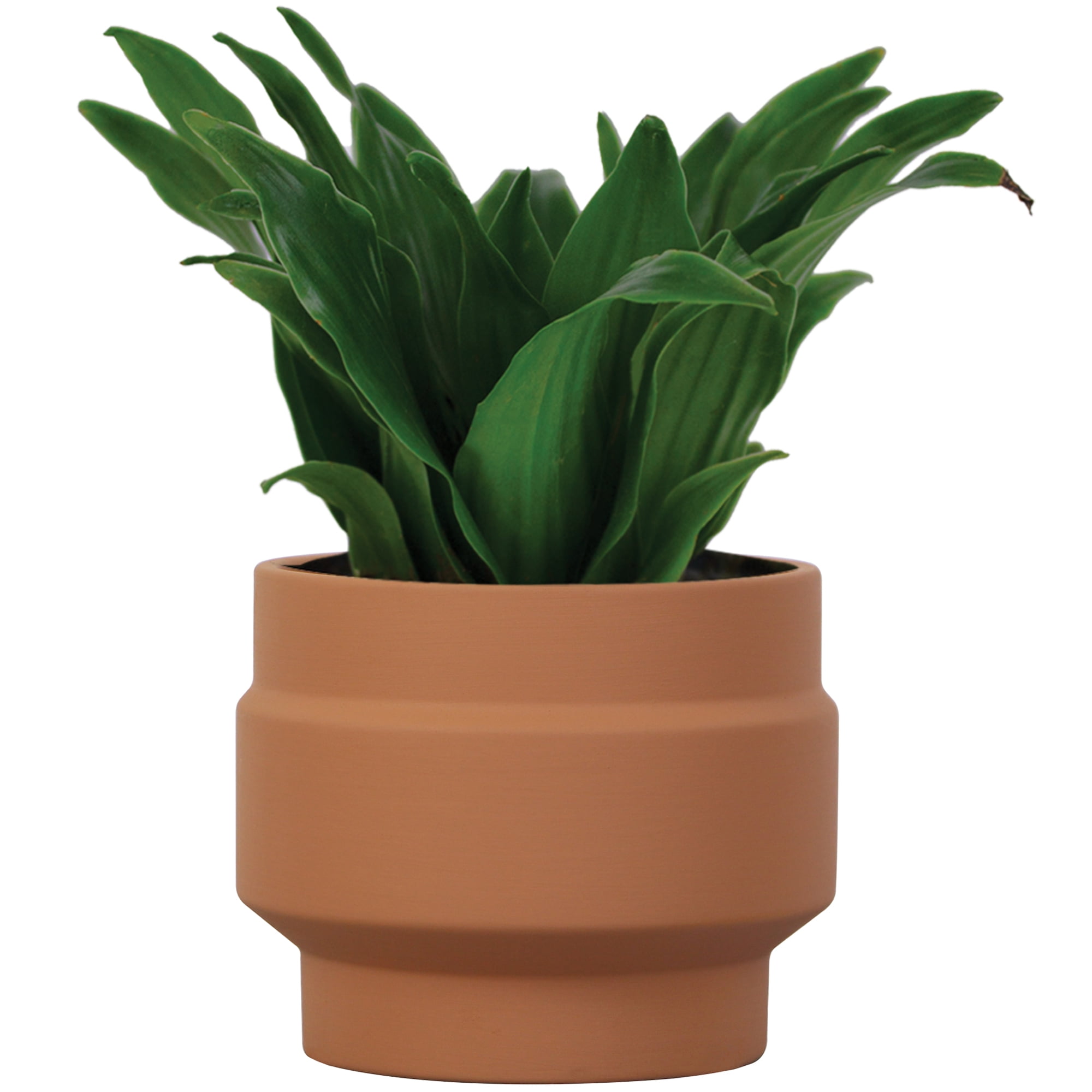 Mainstays 6in Spire Terra Round Planter, Terracotta