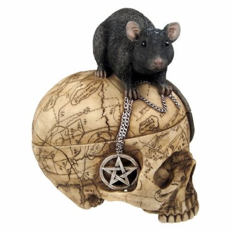 Salem Imports PTC Pacific Giftware Salem Witch Witchcraft Skull with Pentagram Pentacle Mouse Jewelry Trinket Box Statue Figurine ()