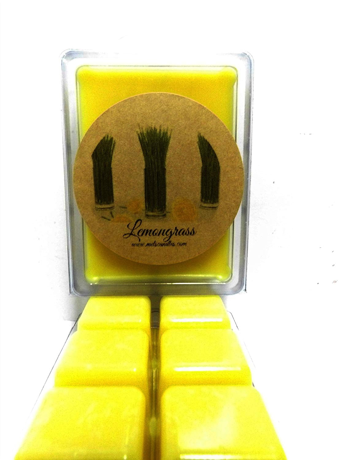 Scent Brick Reindeer Poop 3.2 Ounce Wax Tarts Wickless Candle