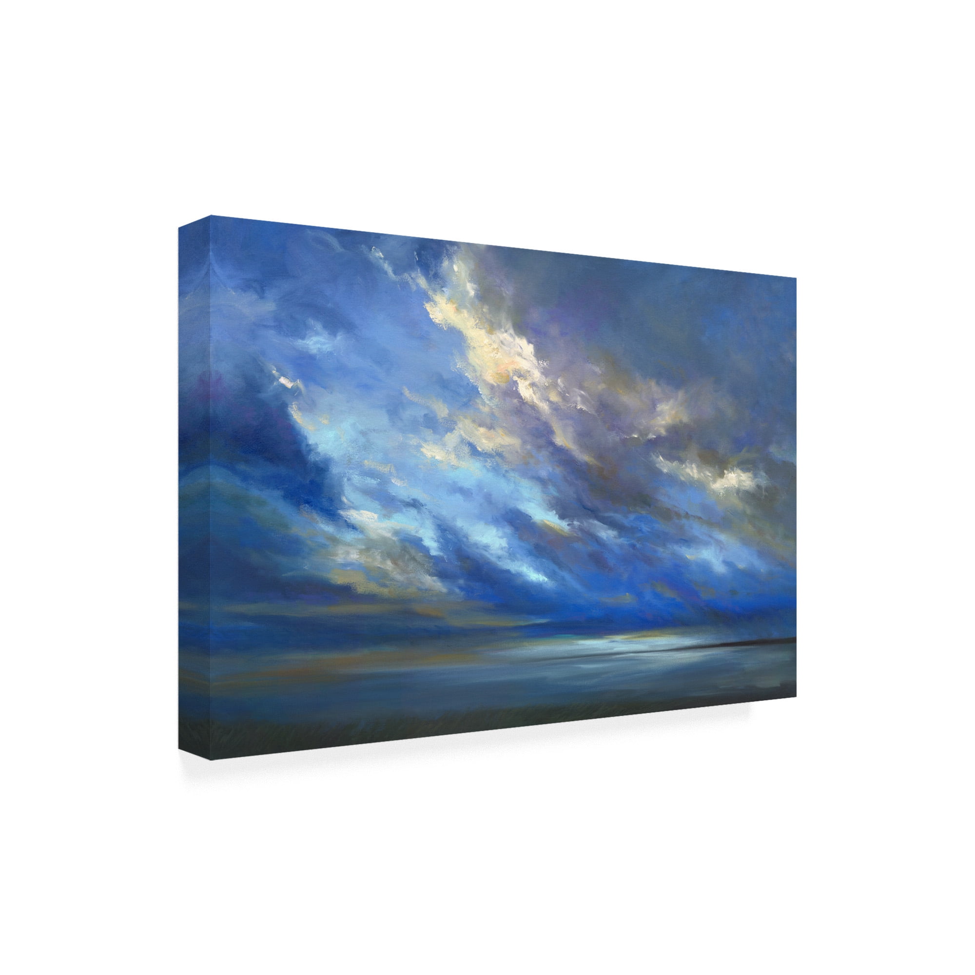 Trademark Fine Art 'Coastal Sky 2' Canvas Art by Sheila Finch