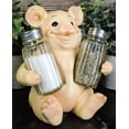 thumbnail image 6 of Animal Farm Barn Porky Pig Salt Shakers Holder Figurine Piggy Pigs Whimsical Pork Bacon Piglet Statue Spice Organizer, 6 of 6