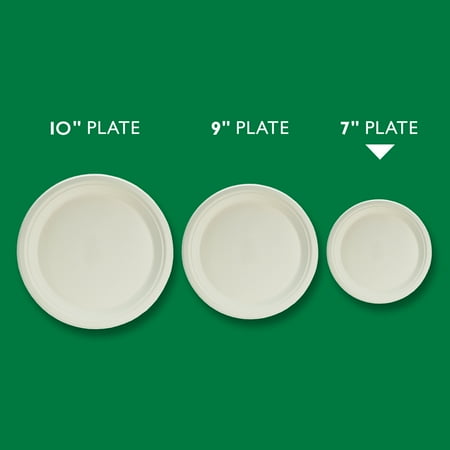 Hefty ECOSAVE Compostable Paper Plates, 6 3/4 inch, 30 Count