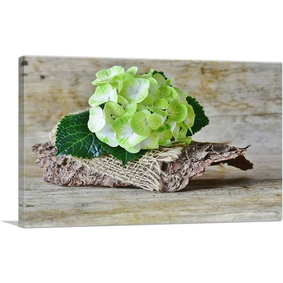 ARTCANVAS Hydrangea Plant Home decor Canvas Art Print - Size: 26" x 18" (1.50" Deep)
