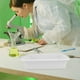 thumbnail image 5 of bandejas de plástico para laboratorio, a prueba de derrames, para experimentos químicos. Ideales para organizar y gestionar suministros de laboratorio, tanto para docencia como para investigación., 5 of 6
