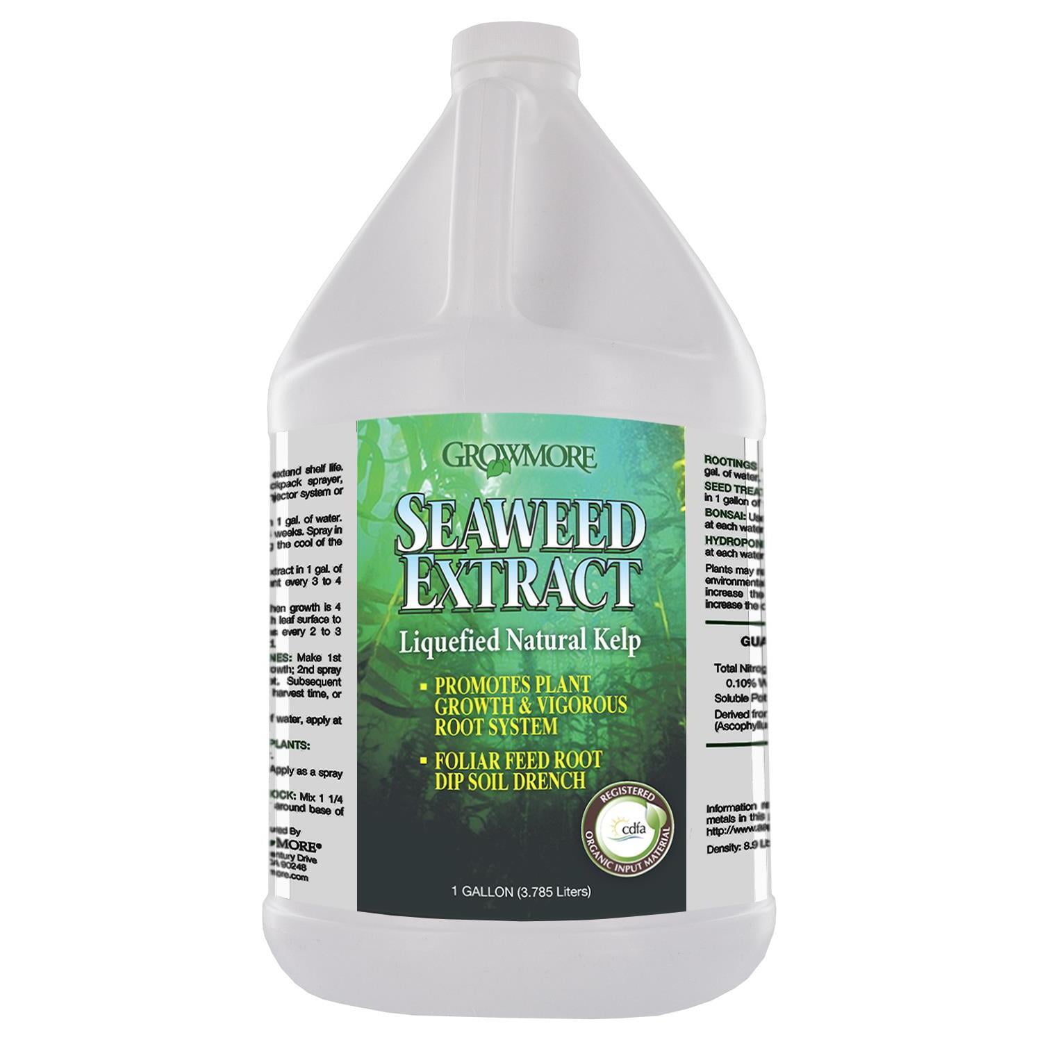 6041 Seaweed Extract 1 Gallon