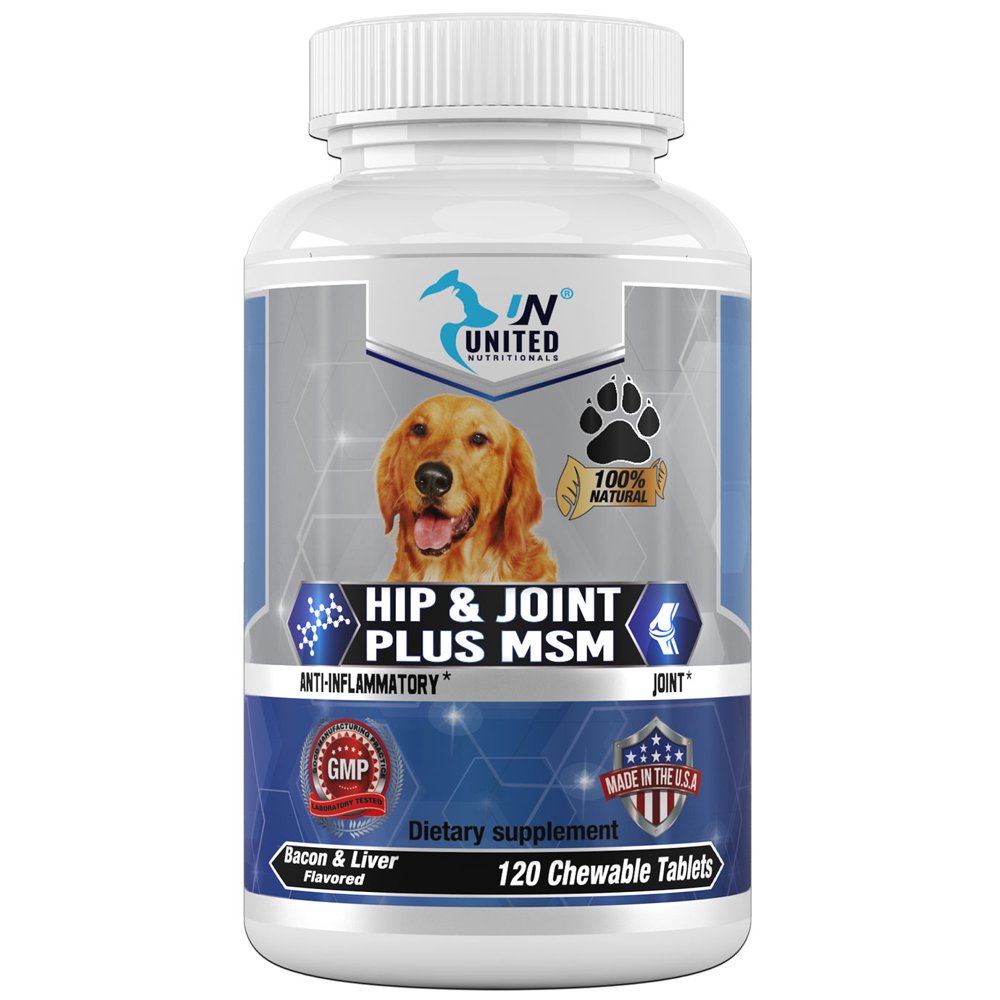 Hip and Joint Support for Dogs, Glucosamine, MSM, Chondroitin, Pain