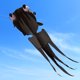 thumbnail image 2 of Cometa Cometa 3D para niños y adultos Enorme cometa gigante de parafoil suave sin marco con cuerda d Abody Cometa, 2 of 7