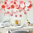thumbnail image 2 of 1 Set Birthday Party Decorations Paper Pompoms Circle Dots Paper Tassel Garland, 2 of 9