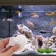 thumbnail image 4 of FUTUREORYY 6Ud Ventosas ABS Para Plataforma Y De Reptiles Con Fijación, 4 of 6