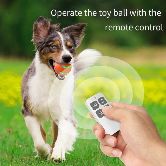 Pelota de juguete interactiva para perros, pelota para perros, pelota de juguete automática con ruedas para gatos