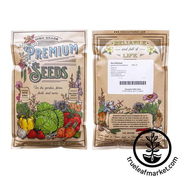 Sunflower Flower Garden Seeds - ProCut F1 - Orange - 500 Seeds - Annual Wildflower Gardening Seeds - Sun Flower