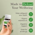 thumbnail image 4 of Pranarom Organic Aromaforce Peppermint Mini-Caps, 4 of 7