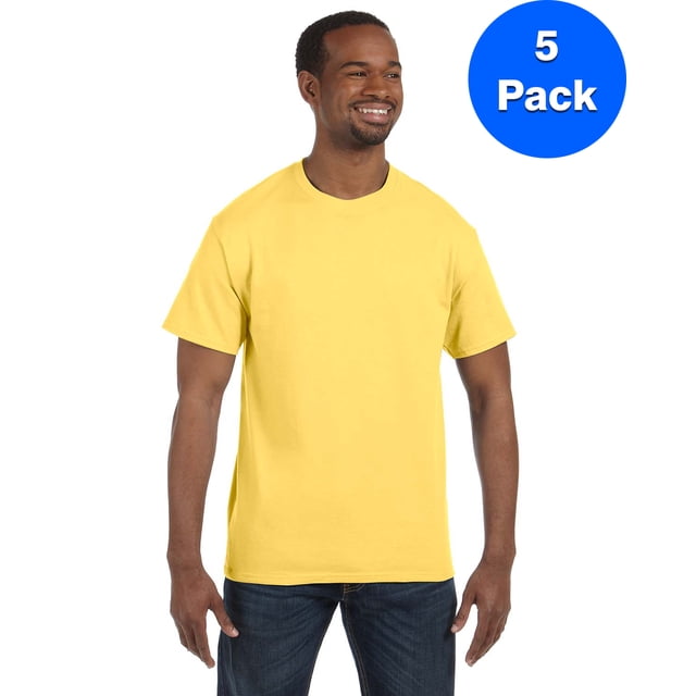 Hanes Men's Authentic-T T-Shirt - 5250T (Pack Of 5)