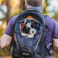 thumbnail image 4 of Kurgo G-Train - Dog Carrier Backpack for Small Pets - Cat & Dog Backpack for Hiking, Camping or Travel - Chest Straps & Hip Belt - Reflective - Two Water Bottle Sleeves - Waterproof Bottom (Ink Blue), 4 of 10