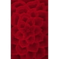 thumbnail image 4 of nuLOOM Gol Hand Tufted Wool Floral Area Rug, 8' 3" x 11', Red, 4 of 5