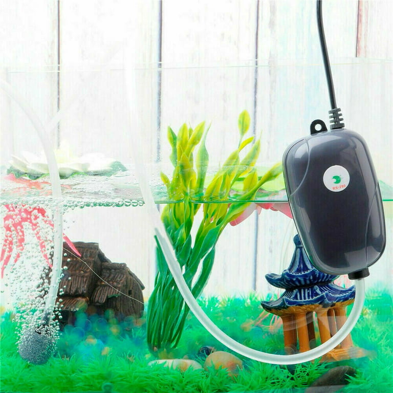  YQMIGU Small Air Pump for Fish Tank 6 Gallons, Aerator for Bait  Bucket,Bubbler Stones for Aerator, Bait Bucket Aerator Pump,Quiet Voice,  Suitable for Tropical Fish Enthusiasts and Fishing Enthusiasts : Pet