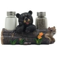 thumbnail image 2 of Black Bear with Squirrel Glass Salt and Pepper Shaker Set with Decorative Holder Figurine As Cabin & Lodge Kitchen Decor by Home 'n Gifts, 2 of 4