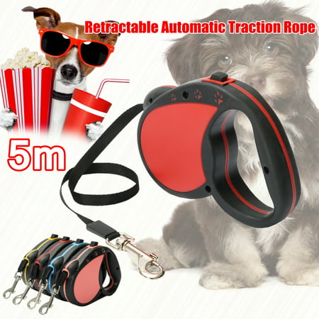 5M/16FT Retractable Dog Leash Extendable Pet Dog Walking Training Leash Nylon Automatic Lead -4 (Best Extendable Dog Lead)
