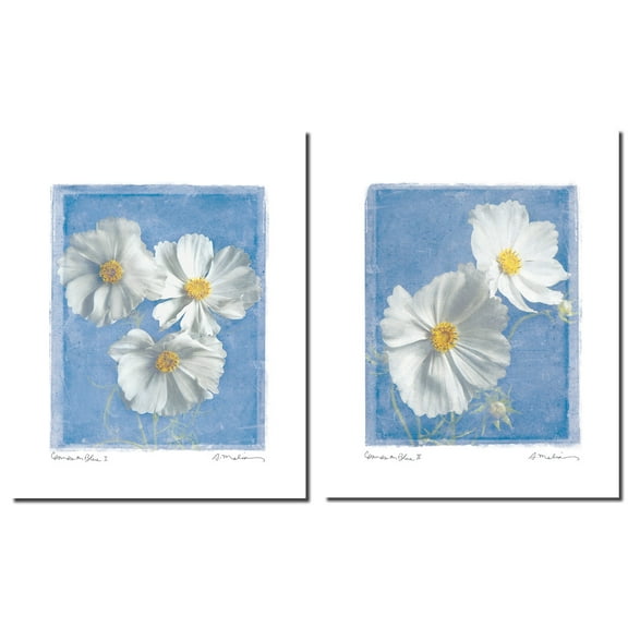 Blue and White Daisy Adult Floral Decor; 2 - 8" x 10" Unframed Posters