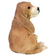 thumbnail image 4 of Design Toscano Brown Basset Puppy Dog Statue, 4 of 7