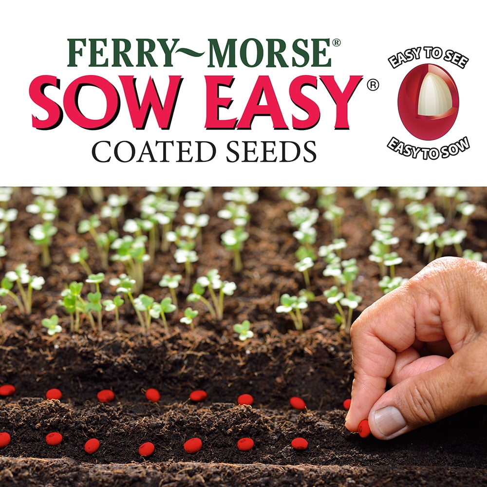 Ferry-Morse Sow Easy 45PCS Pea Melting Sugar Snow Vegetable Plant Seed Full Sun