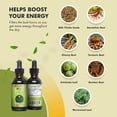 thumbnail image 6 of Go Nutrients Liver Edge Liquid Drops Supplement with Milk Thistle for Supporting Liver Health - 2 oz, 6 of 8