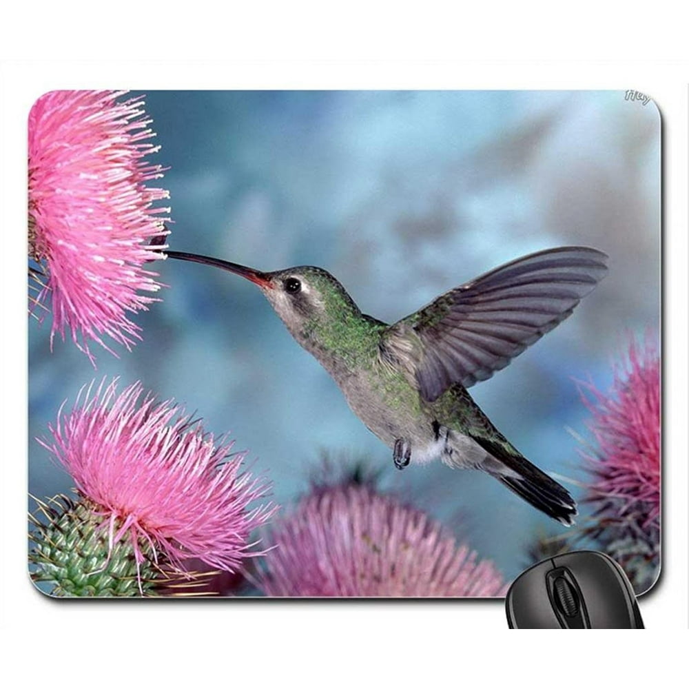 POPCreation Humming Bird Mouse pads Gaming Mouse Pad 9.84x7.87 inches ...