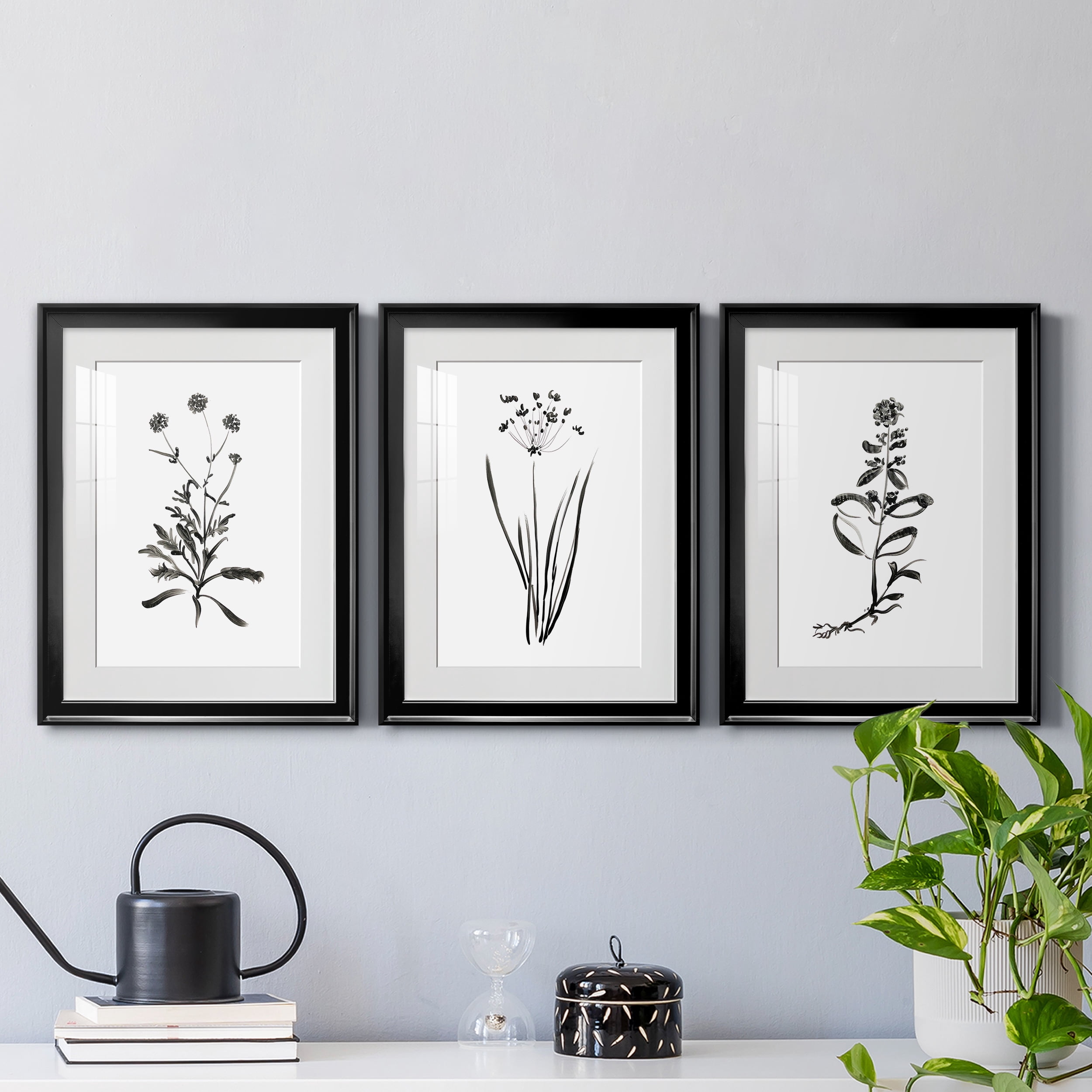 Inky Botanical I Premium Framed Prints Set of 3 - Ready to Hang - 22 x 30 Each - Black Frame