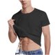thumbnail image 1 of Pntutb Camiseta de secado rápido unisex Fitness Running Stretch Yoga Camiseta Soft Sport Yoga Pntutb Pntutb-157, 1 of 7