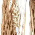 thumbnail image 6 of 57" Dried Plant Natural Foliage Pigeon pea Bouquet, by DecMode (2 Count), 6 of 9