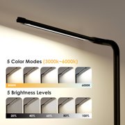 Lococo LED Desk Lamp with USB Charging Port, Type-C and AC Outlets, Surge Protection, Modern Style for Home Office