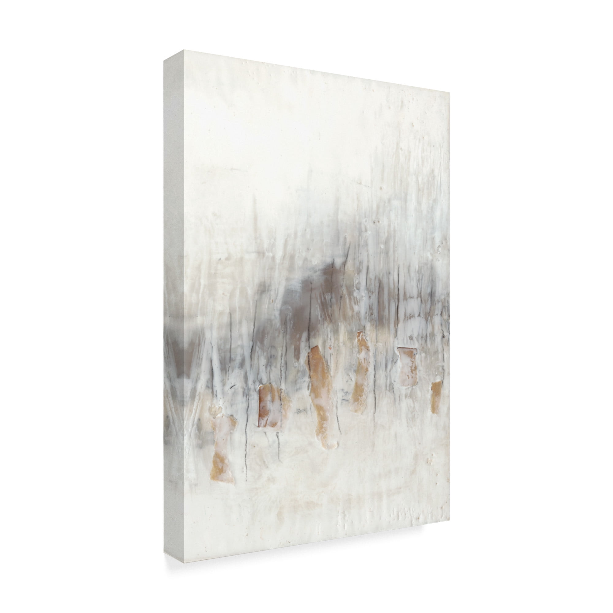 Trademark Fine Art 'Neutral Wave II' Canvas Art by Jennifer Goldberger