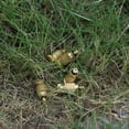 thumbnail image 4 of Spray Sprinkler Head,B Brass Threaded Brass Nozzle, For Flower Nursery Production Front Porch Balcony Greening Projects, 4 of 8