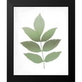 thumbnail image 2 of Kimberly, Allen 12x14 Black Modern Framed Museum Art Print Titled - Leaves Print 1, 2 of 5