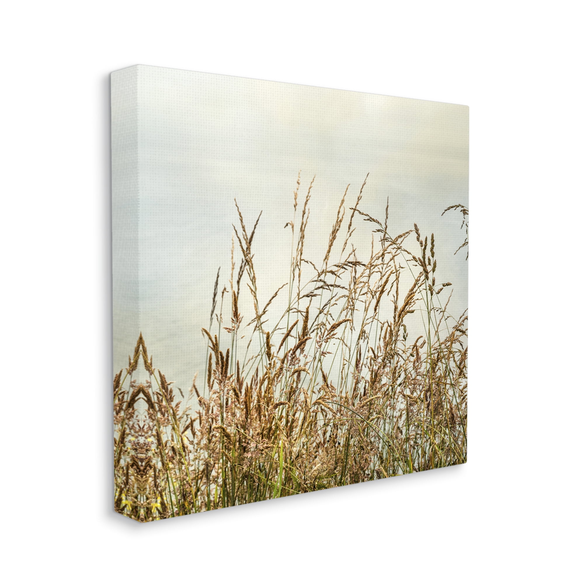 Stupell Industries Ocean Reeds Photography Landscape Photography Gallery Wrapped Canvas Art Print Wall Art, 17 x 17