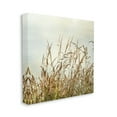 thumbnail image 4 of Stupell Industries Ocean Reeds Photography Landscape Photography Gallery Wrapped Canvas Art Print Wall Art, 17 x 17, 4 of 8