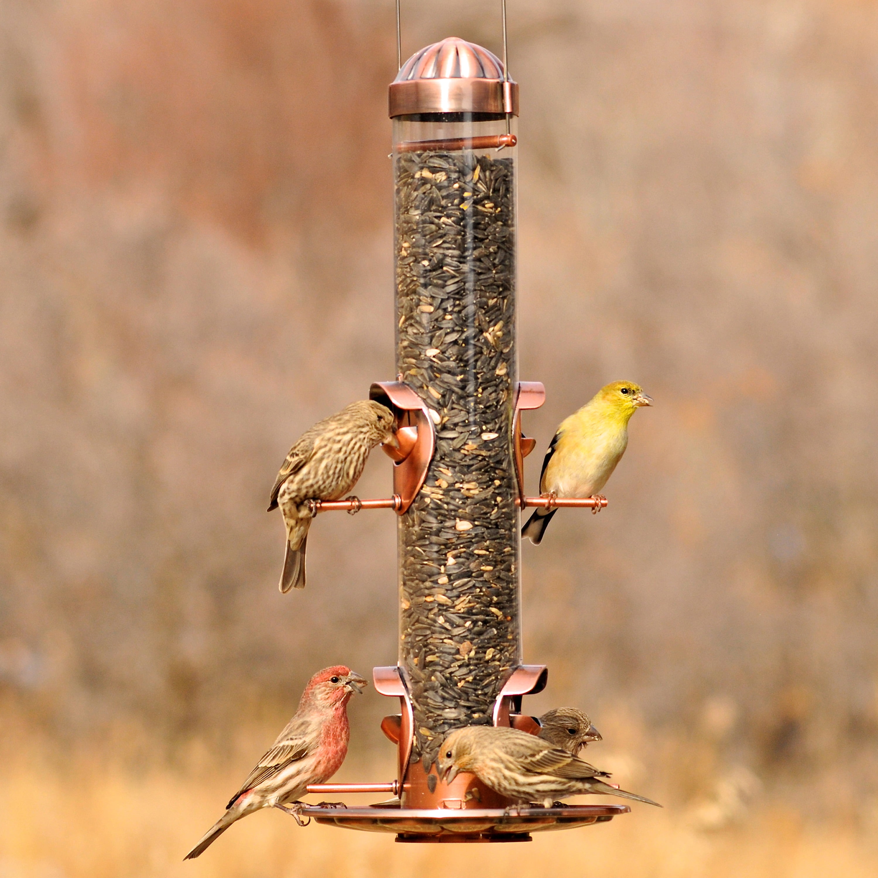 Perky Pet 2 In 1 Wild Bird Feeder Walmart Com