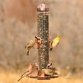 thumbnail image 6 of Perky-Pet Copper Finish 2-in-1 Wild Bird Tube Feeder - 1.8 lb Capacity, 6 of 13