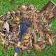 thumbnail image 3 of GOOHOCHY 2 rastrillos de mano pequeños con mango de madera, 69 cm de largo, horquilla de metal desmontable, ideal para trabajos de jardinería en el jardín., 3 of 8