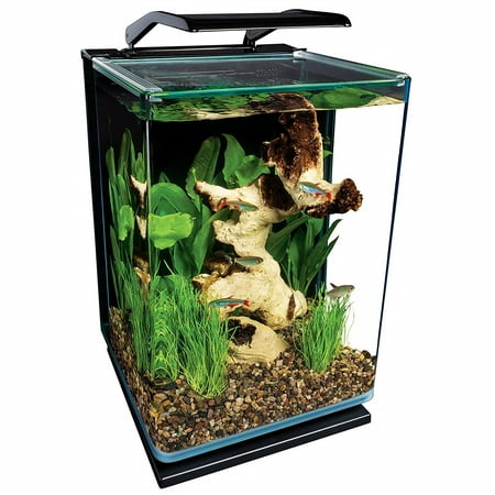 - Marineland 5-Gallon Portrait Glass LED Aquarium Kit