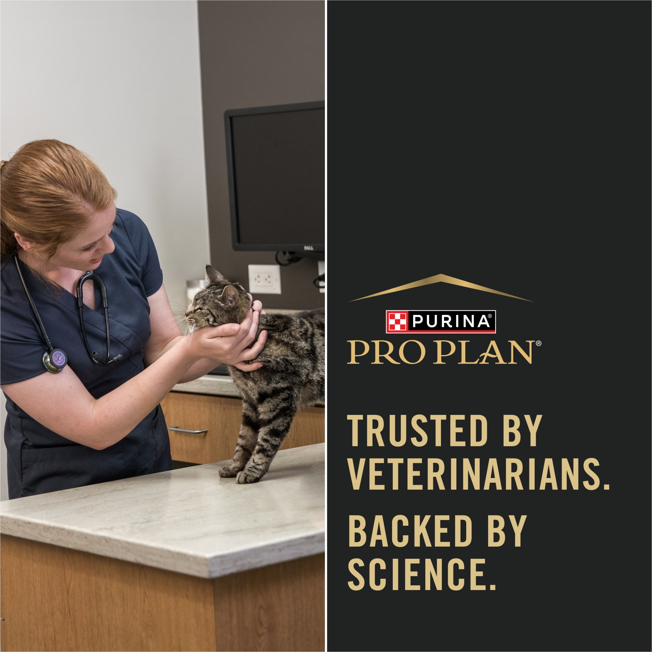 Purina Pro Plan Allergen Reducing, Sensitive Skin & Stomach, High Protein Cat Food, LIVECLEAR Turkey and Oatmeal Formula, 5.5 lb. Bag